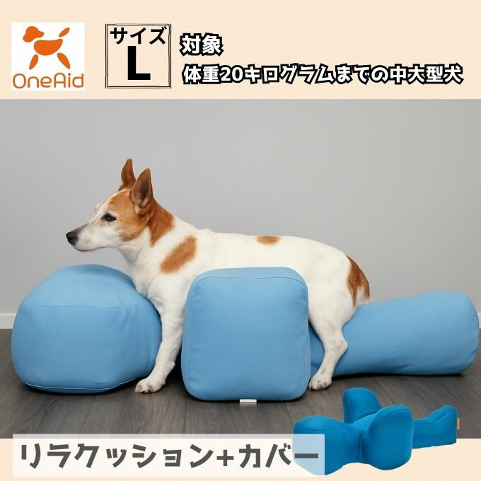 ��󥨥���(OneAid) ���� ��饯�å���� �֥롼 �� ���С� L RK-L2 �ڤ�������������ۡ�