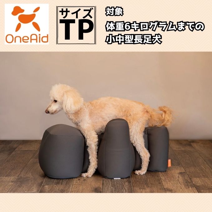 ��󥨥���(OneAid) ���� ��饯�å���� �ȥ��ס��ɥ� ���㥳���륰�졼�� RK-TP �ڤ�������������ۡ�