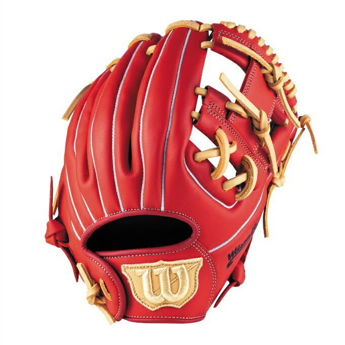 Gloves - ウイルソン(Wilson) ソフトボールグローブ オールラウンド メンズ ウィルソンベア DUAL S WBW104503 【国内正規品】