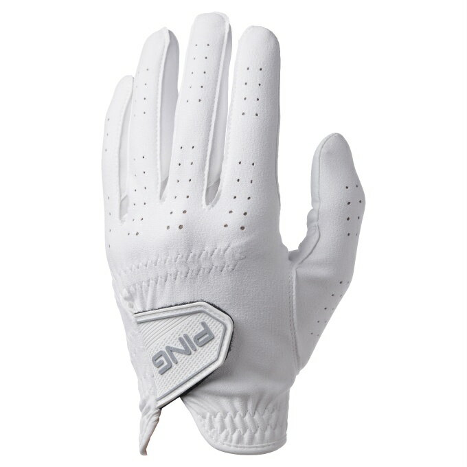 ��3��10��ȯ��� �ԥ�(PING) ����� �����ѥ������� ��� ��ǥ����� GL-U2601 �����륦�������������� 39005 �ڹ��������ʡ�