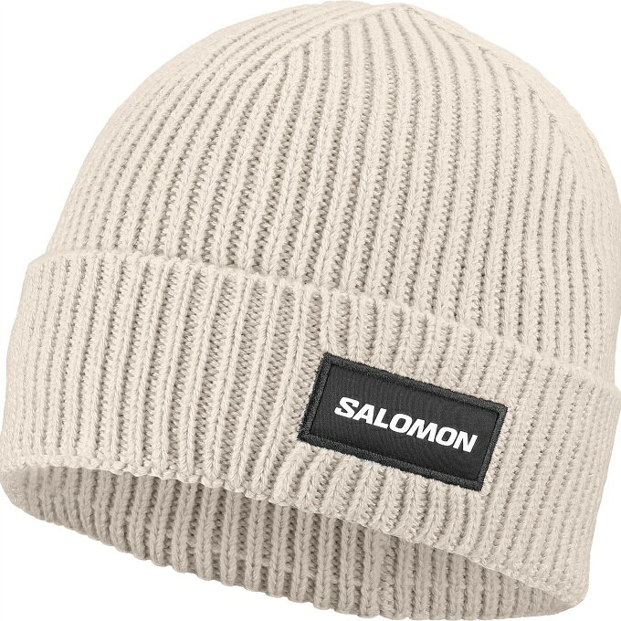 サロモン(SALOMON) ニット帽 メンズ レディース CLASSIC BEANIE LC2937800-SILVER CL 【国内正規品】【26-27 2027モデル】