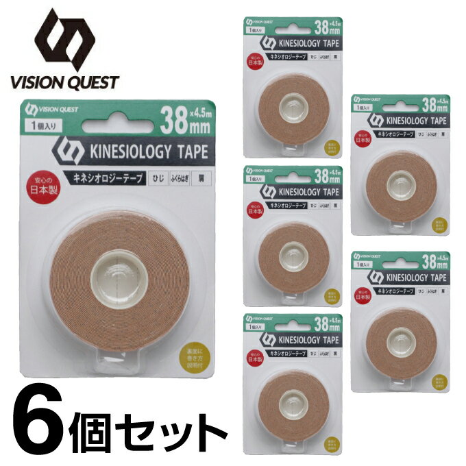 e[sO Lk LlVIW[e[v38mm 4.5m~6 v27m VQ580201H09 rWNGXg VISION QUEST