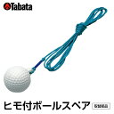 【エントリーでポイント最大15倍！】タバタ TABATA ゴルフ 練習用 練習器具 トレーニングボール 練習器 ヒモツキボールスペア GV0277 その1