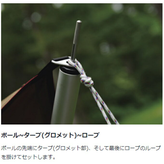 スノーピーク テントポール ウイングポール 280cm TP-001 snow peak通販格安セール情報　楽天　通販