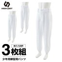 【全品対象最大10%OFFクーポン!7/13 10:00〜7/15 23:59】野球 ジュニア 3点セット 練習用パンツ VQ550301G01 ビジョンクエス...