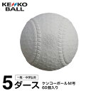 ケンコー 野球 軟式ボール M号 ケンコーボールM号ダース 5ダース KENKO-MD KENKO