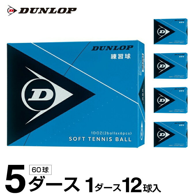 å եȥƥ˥ܡ  Ȣ 5 60 DSTBPRA2DOZ DUNLOP