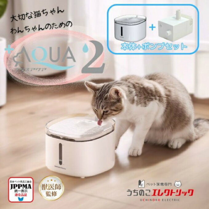 ʺ10OFF6/22 20:006/27 1:59ۤΤ쥯ȥå UCHINOKO ELECTRIC ǭ ...