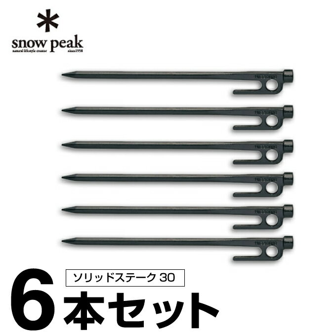 スノーピーク ペグ 6本セット 30cm ソリッドステーク30 R-103 snow peak