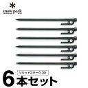 スノーピーク ペグ 6本セット 30cm ソ