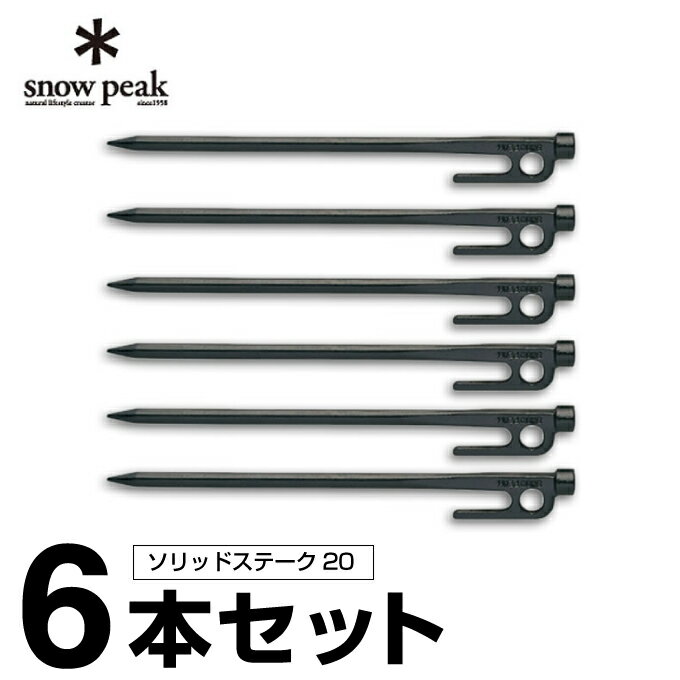 スノーピーク ペグ 6本セット 20cm ソ