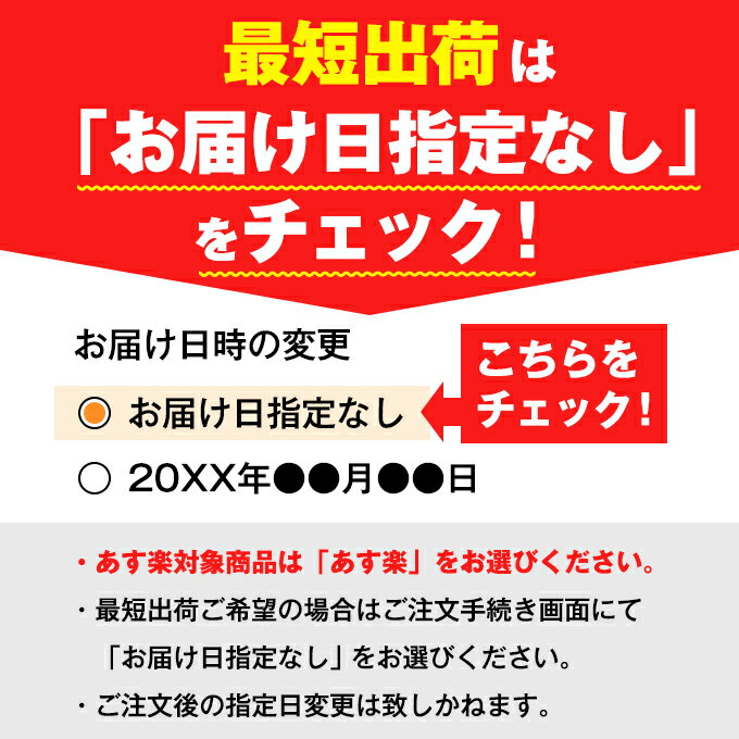 【9/1(木)0:00〜9/11(日)1:59限定対象商品500円クーポン発行中】ノースフェイス キャップ 帽子 ジュニア Kids' Trucker Mesh Cap キッズ トラッカーメッシュキャップ NNJ01912 ID THE NORTH FACE