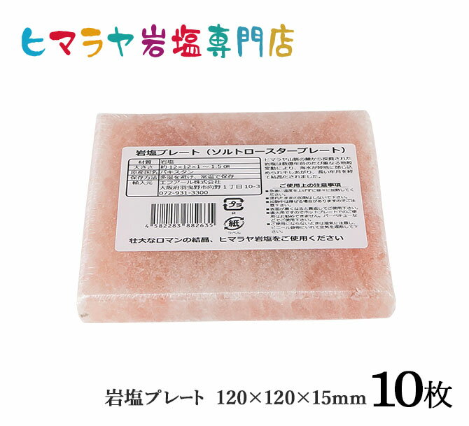 【送料無料】岩塩プレート（ソルトロースタープレート）約120mm×120mm×10mm〜15mm 10枚