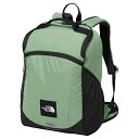 ザ・ノース・フェイス バックパック ジュニア レクタング NMJ72359 MI ノースフェイス THE NORTH FACE(4)