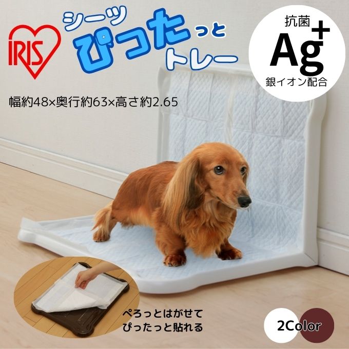 アイリスオーヤマ IRIS OHYAMA トレー シーツぴたっとトレー ワイド P-SPTW【ご自宅配送限定】 ‥ od