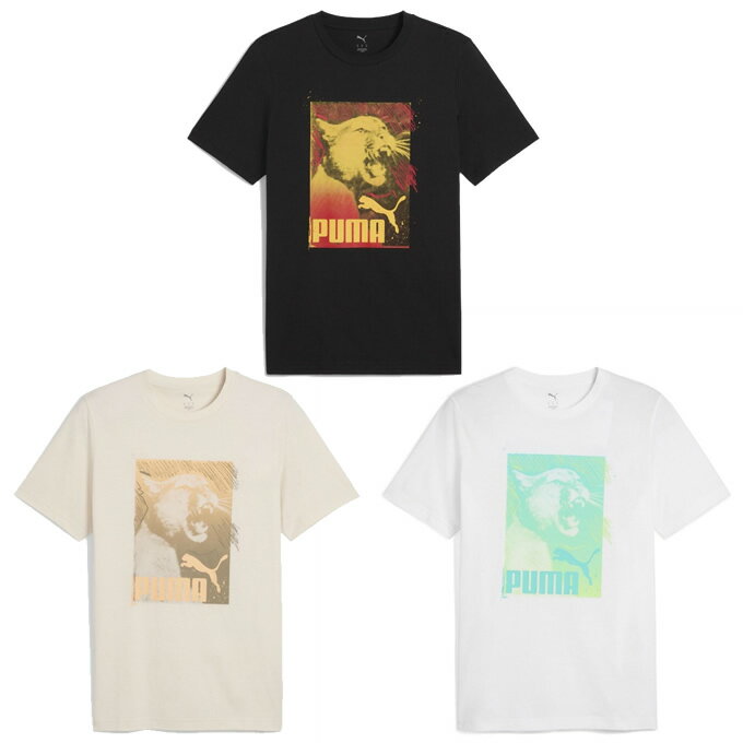 【メール便送料無料】プーマ Tシャツ 半袖 メンズ GRAPHICS フォトプリントTシャツ 687705 PUMA