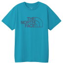 ザ・ノース・フェイス Tシャツ 半袖 メンズ SS ES BIG LOGO T ショートスリーブイーエスビッグロゴティー NT32581-DL ノースフェイス THE NORTH FACE 【メール便可】 od(4)