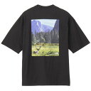 【メール便送料無料】ザ・ノース・フェイス Tシャツ 半袖 メンズ レディース SS YOSEMITE SNY T NT32436-K2 ノースフェイス THE ...
