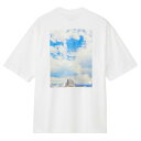 【メール便送料無料】ザ・ノース・フェイス Tシャツ 半袖 メンズ レディース SS YOSEMITE SNY T NT32436-W2 ノースフェイス THE ...