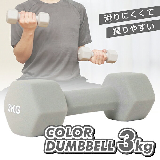 ٥ 3kg žʤ ϻѷ  ǥ 顼٥ ӥ󥯥 VISION QUESTVQ580104I03 ...
