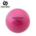 ビジョンクエスト VISION QUEST ジムボール メンズ レディース ウエイトボール 1kg VQ580104I21 run