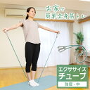 【期間限定クーポン配布中!4/30 16:00〜5/5 23:59】 エクササイズチューブ 強度中 トレーニングチューブ ゴムチューブ AL580103L02 ...