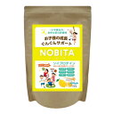ノビタ(NOBITA) NOBITA はちみつレモン味 600g FD-0002-009-F run