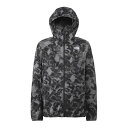 ザ・ノース・フェイス ウインドブレーカー ジャケット メンズ Novelty Swallowtail Vent Hoodie NP22290 LX ノースフェイス THE NORTH FACE run