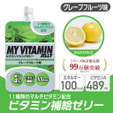 ビジョンクエスト Vision Quest サプリ ビタミンゼリー グレープフルーツ味 EGJ-GF ビタミン補給 ゼリー飲料 低価格 run