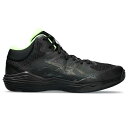 アシックス バスケットシューズ メンズ レディース ノヴァフロー NOVA FLOW 2 1063A071.002 asics sc