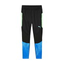 プーマ サッカーウェア ピステパンツ メンズ INDIVIDUAL ファイナル トレーニング パンツ 659871-02 PUMA 【メール便可】 sc