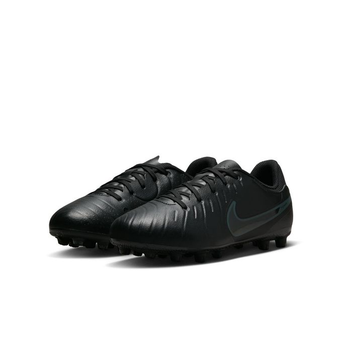 ʥ åѥ ˥ ƥ 쥸 10 ǥߡ ϡɥ饦 å DV4349-002 NIKE ...