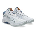 アシックス バスケットシューズ メンズ レディース GELHOOP V17 1063A096-102 asics sc
