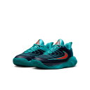 ナイキ バスケットシューズ ジュニア 25S ヤニス イモータリティ4GS FZ6734-303 NIKE sc