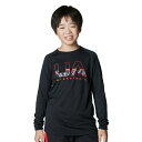 アンダーアーマー(UNDER ARMOUR) バスケットボール 長袖シャツ ジュニア UAテック ロゴ ロングスリーブ Tシャツ 6007872-001 sc