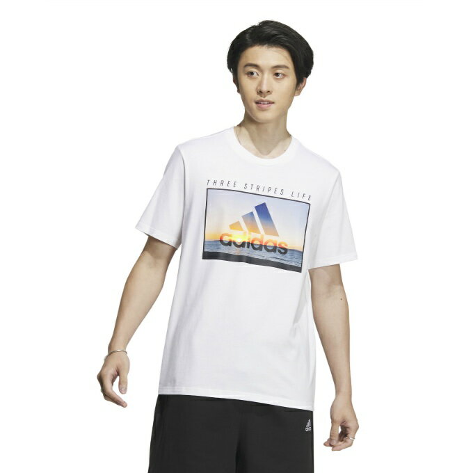 AfB_X TVc  Y Ocean Graphic Regular Fit T-Shirt I[V OtBbN M[tBbg TVc IK4286 IJG10 adidas y[։z sw