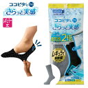 【全品15%OFFクーポン!5/9 20:00〜5/18 23:59】 ココピタ ソックス メンズ さらっと実感 クルー丈ソックス 676-901C-60 sw...