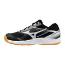 ミズノ バレーシューズ ジュニア サイクロンスピード 5 Jr. V1GD251053 MIZUNO sw