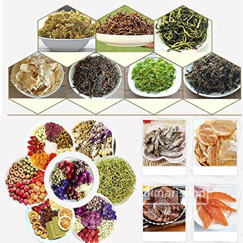 ���ʴ��絡 �ա��ɥɥ饤�䡼 6�� 35-75���Ĵ�� 35L������ ���/��ʪ/��/�ϡ��֤δ����� 0-12���֥����ޡ����� Ǯ���۴� ��̳�� ������ ���ʵ�304���ƥ�쥹�� 110V