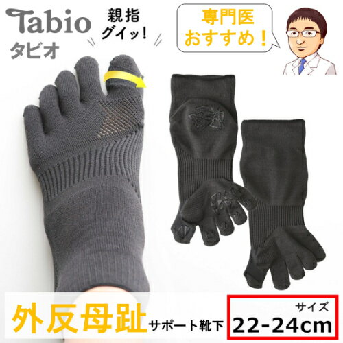   OT|[gC 22-24cm  O T|[^[ O  Ow 5{w \bNX ܖ{w ^rI TABIO LEG LABO  C  pvX Xj[J[ fB[X Y C\[ C { ^rIKi