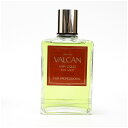 カネボウ 香水 バルカン ヘアリキッド ボトルタイプ 180ml 中古 Kanebo VALCAN|男性用 メンズ 整髪料 ヘアケア BT 箱なし