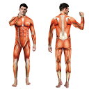 筋肉つなぎ服 男女兼用 ハロウィン コスプレ ハロウィン 仮装 大人 ハロウィン衣装 コスプレ衣装 レディース ハロウィーン 衣装 ガールズ 大人用 女性用 パ...