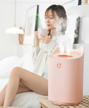 【 USB給電式 送料無料】 加湿器 卓上加湿器 USB 小型 超音波 静音 大容量 ミストボックス USB加湿器 卓上 オフィス 車載 携帯加湿器 ミニ 加湿機 デスク おしゃれ ミニ加湿器 かわいい お手入れ簡単加湿器 卓上 オフィス 大容量3000ML