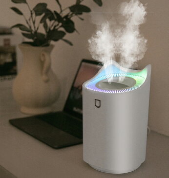 【 USB給電式 送料無料】 加湿器 卓上加湿器 USB 小型 超音波 静音 大容量 ミストボックス USB加湿器 卓上 オフィス 車載 携帯加湿器 ミニ 加湿機 デスク おしゃれ ミニ加湿器 かわいい お手入れ簡単加湿器 卓上 オフィス 大容量3000ML