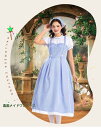 ハロウィン コスプレ メイド服 クラシック 童話 ロング丈 大人 レディース 女性用 女の子 可愛い 青格子 ワンピース 洋服 農園 写真 人気 仮装 コスチュ...