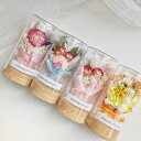 送料無料 カーネーション プリザーブドフラワー 永遠の花 花束 枯れない花 バラ ギフト 薔薇 ローズ プレゼント ガラスポット 卒業式 母の日 成人式 結婚祝...