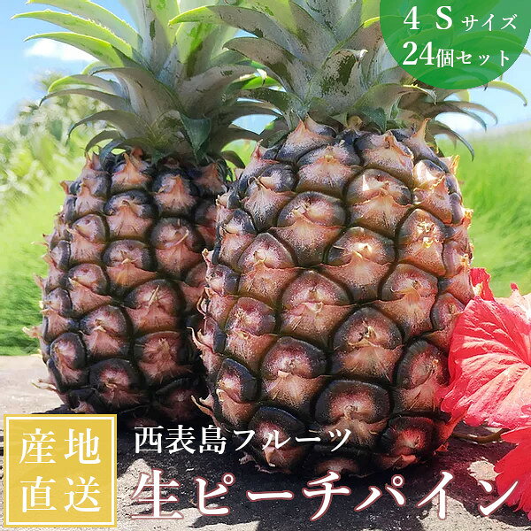 イッテｑに登場 ジューシーで濃厚な甘さ 沖縄西表島より直送 西表島フルーツ ピーチパイン サイズ4s 24個セット 送料無料 沖縄 パインナップル イッテq プレゼント テレビ放映 21年最新入荷 パイナップル ギフト
