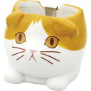 ミニかやり スコティッシュ ギフト 贈り物 お祝い お歳暮 お中元 プレゼント 御礼 お礼 御歳暮 御中元 贈答品 粗品 熨斗 のし お返し 内祝い 快気 志