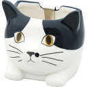 ミニかやり ハチワレ 猫 蚊やり ねこ 蚊取り線香 ホルダー ギフト 贈り物 お祝い お歳暮 お中元 プレゼント 御礼 お礼 御歳暮 御中元 贈答品 粗品 熨斗...