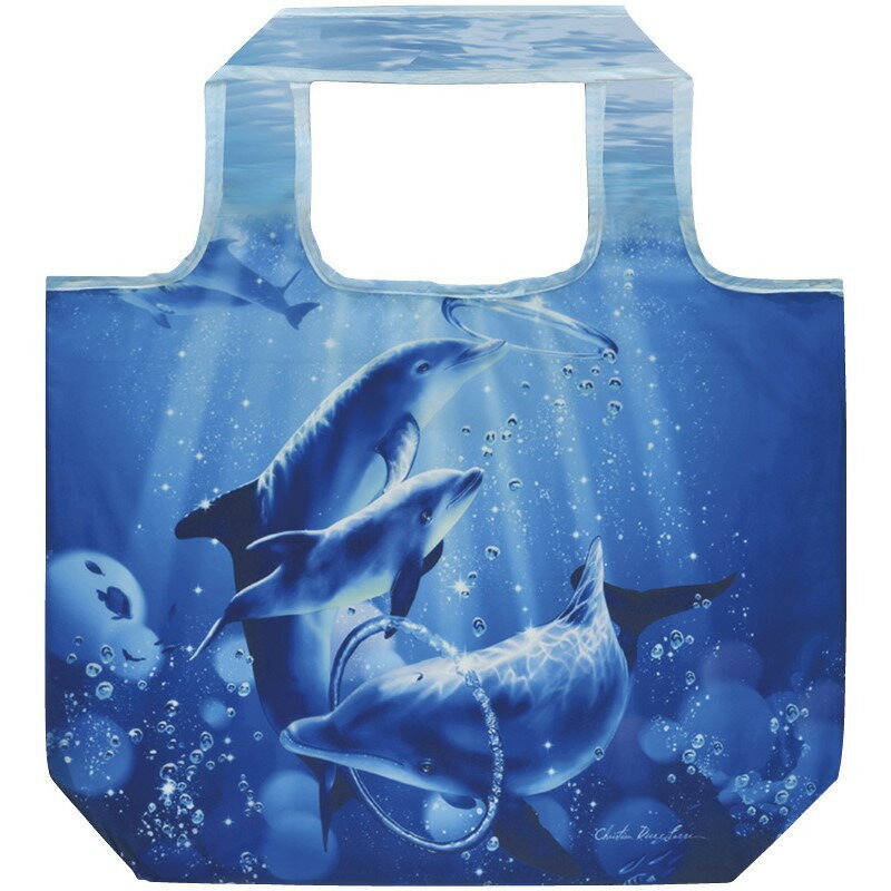 Хå ɥե󥷥եˡ ꥹ󡦥꡼å ե £ʪ ˤ  渵 ץ쥼    渵 £ ...